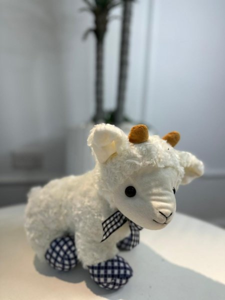 دب خاروف / صغير